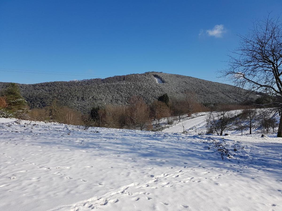 Hoellenbergblick Spirkelbach 외부 사진
